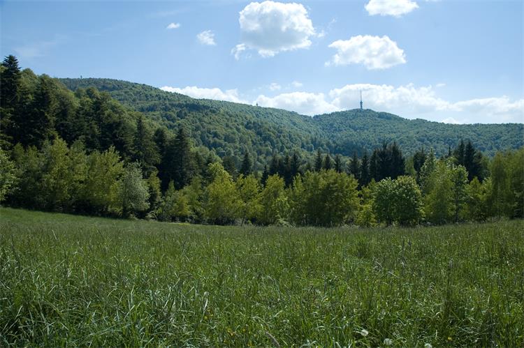 Slika /slike/Vijesti/24.6.2020. PP Biokovo i Medvednica 4.jpg